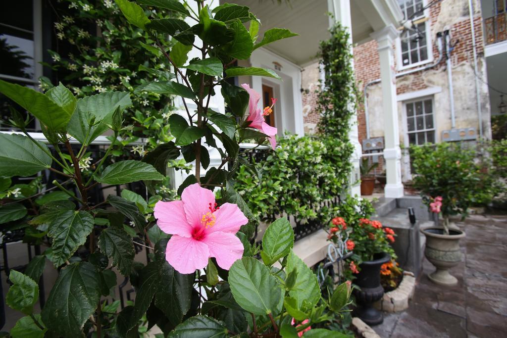 Fleur De Lis Mansion Bed and Breakfast New Orleans Exteriör bild